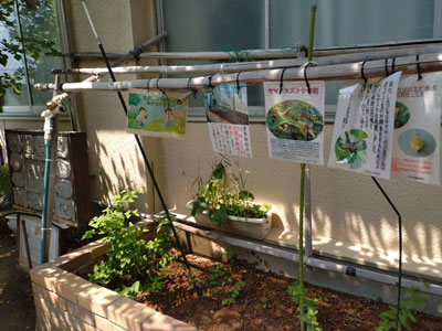 土合小の花壇
