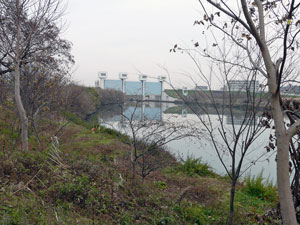 昭和水門と鴨川