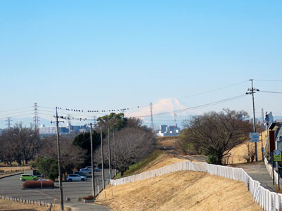 富士山を遠望