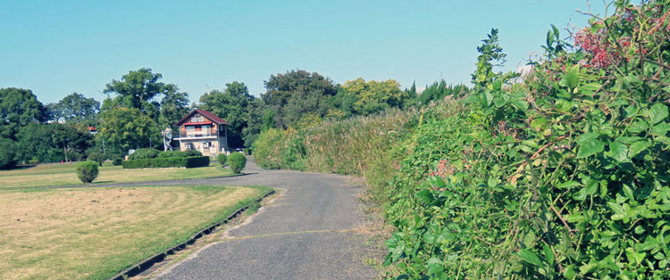 �v������