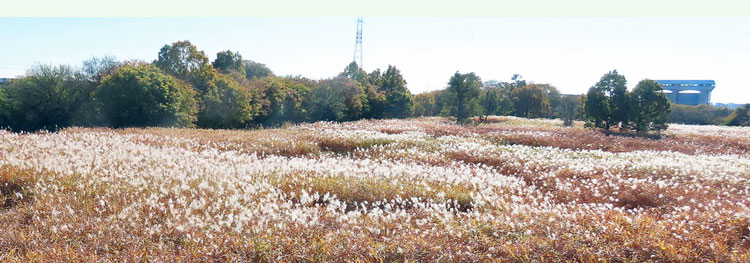 �I�M��A��