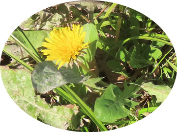 �h�^���|�|"