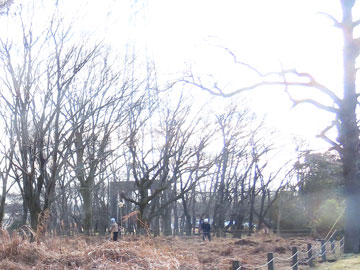 ��Q���w��n