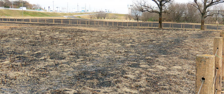 ���O����