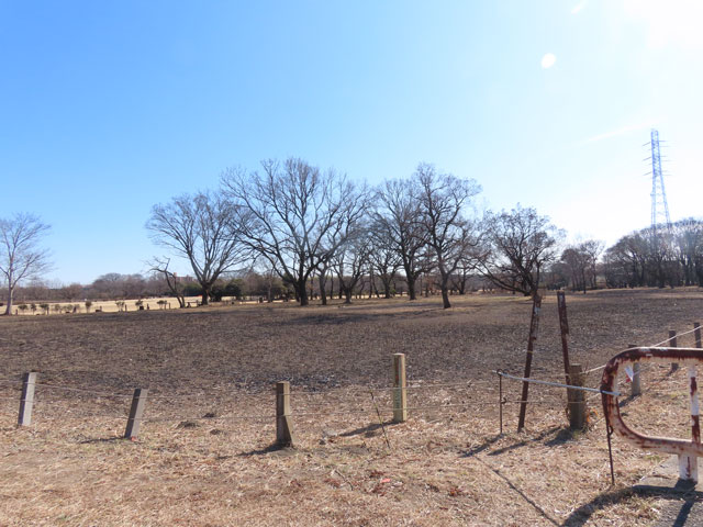 ��2���w��n