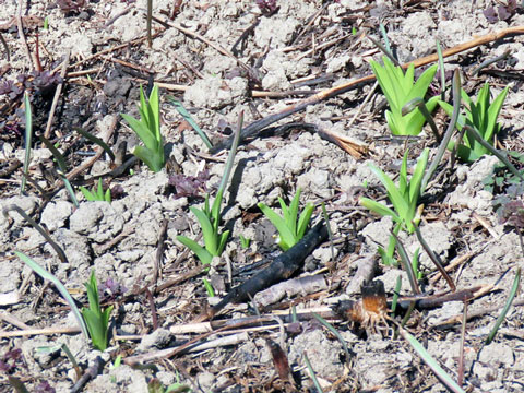 �m�J���]�E